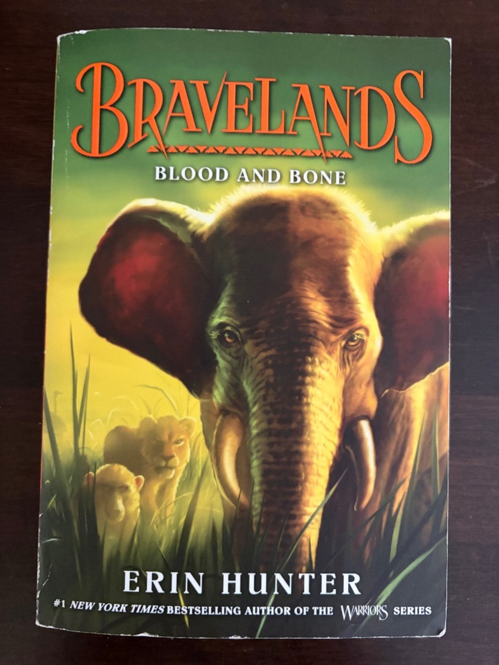Book Braveland
